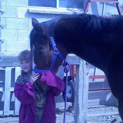 The Horses at Soft Landing